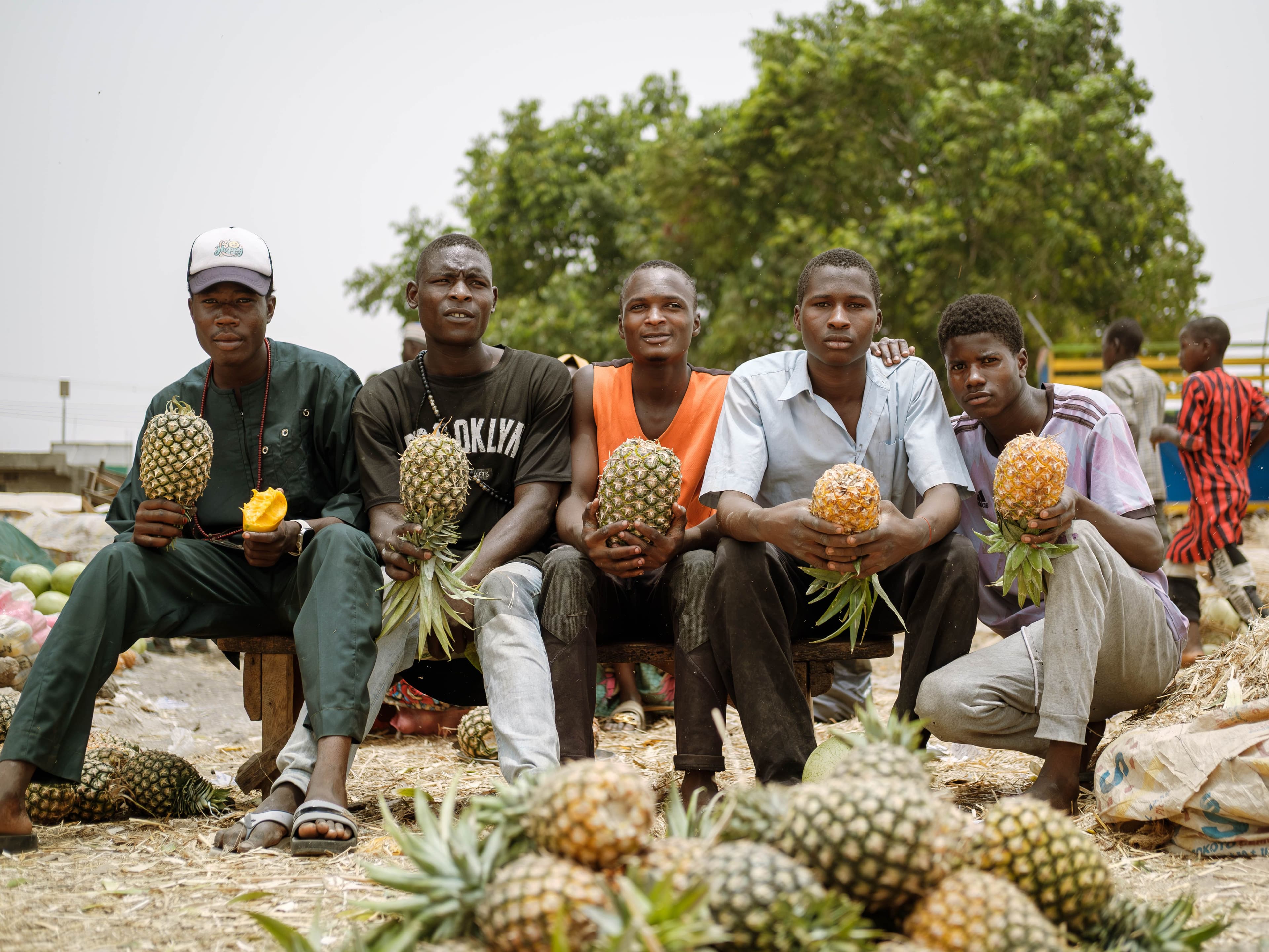 Small Holder Farmers Fund cover image